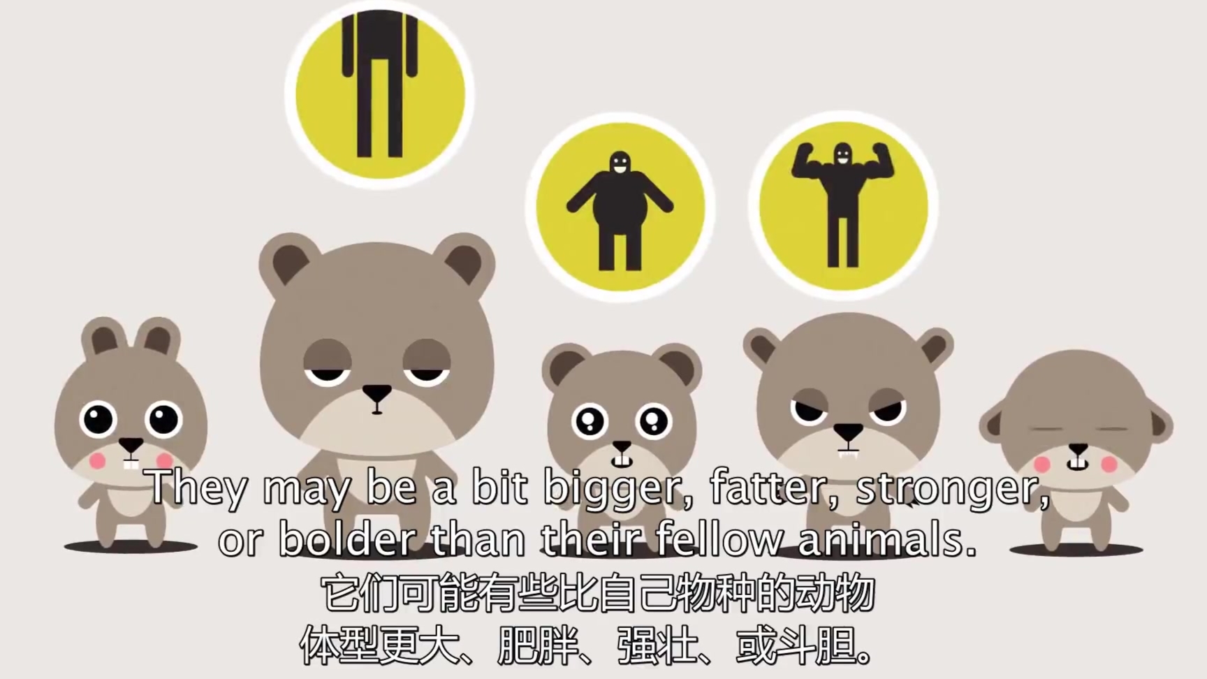 【科普】生物进化的工作机制,生物是如何进化的(中英字幕)