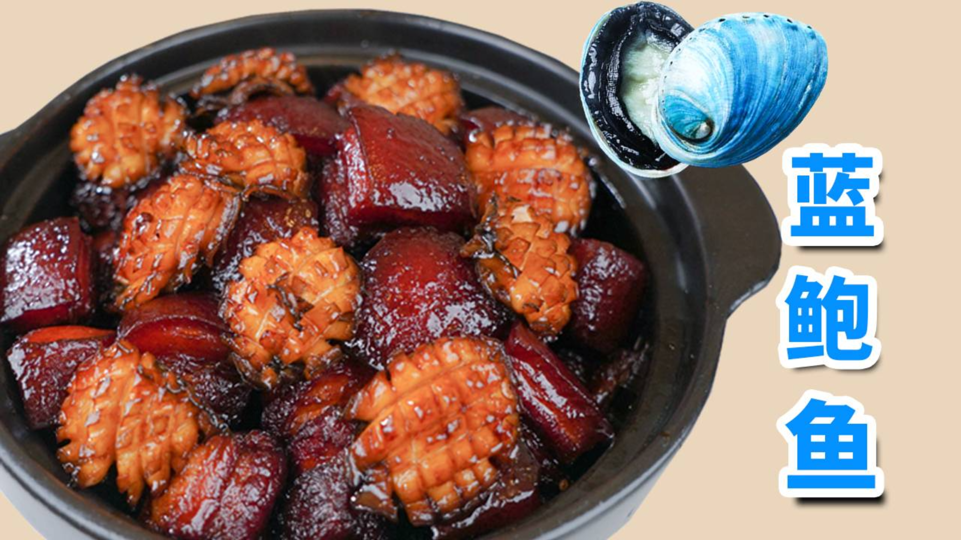 500元一份蓝鲍鱼红烧肉,汤汁绝了~