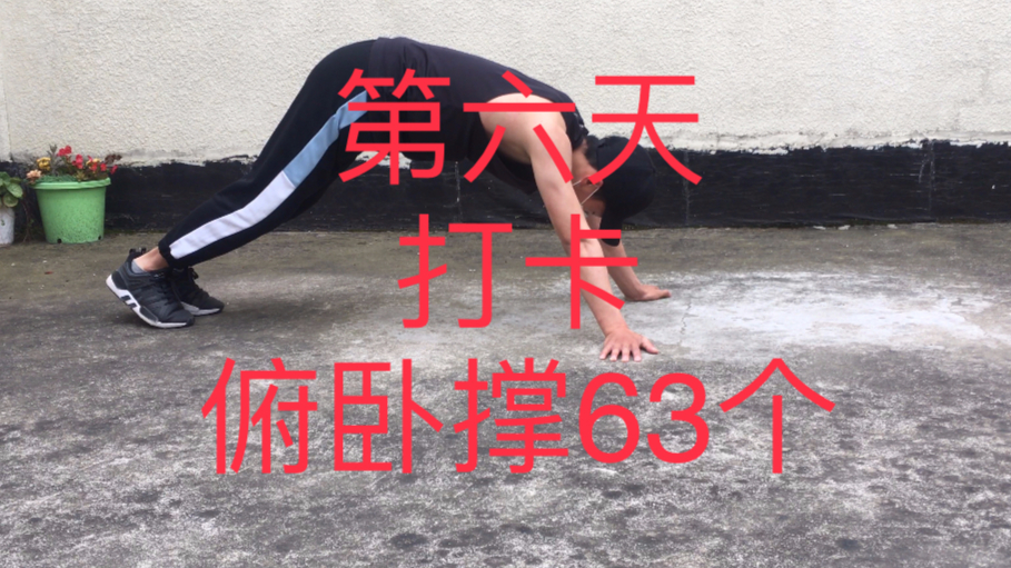 第六天打卡 俯卧撑63