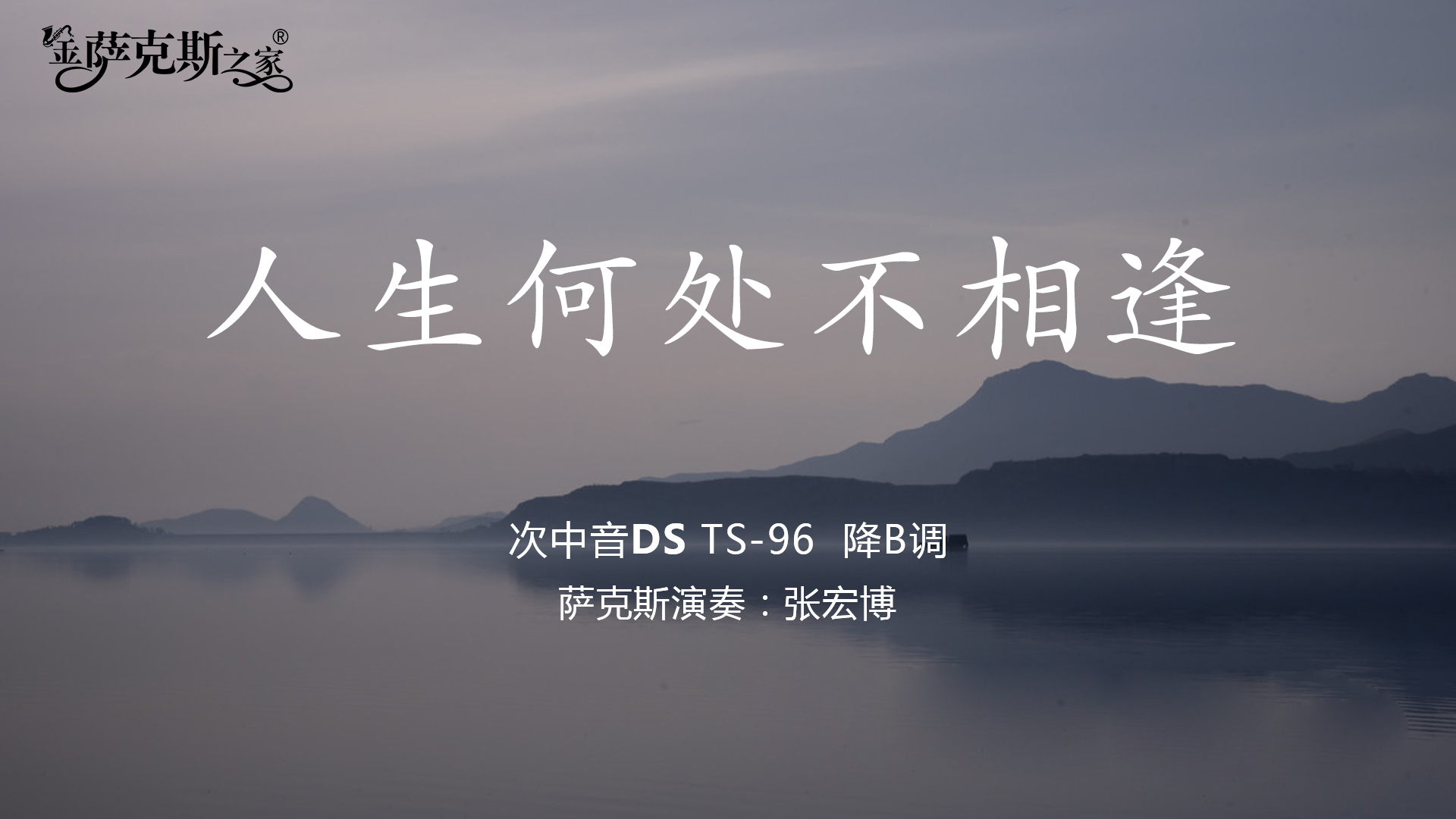 粤语金曲《人生何处不相逢》,萨克斯有韵味,深情伤感经典好听!