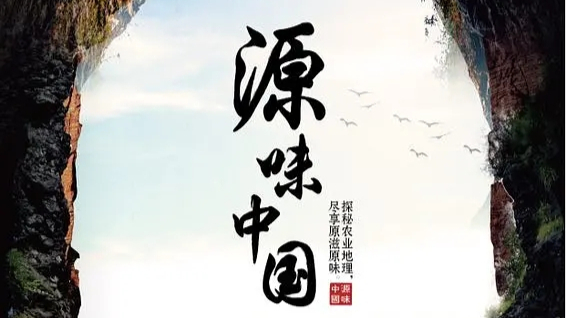 源味中国