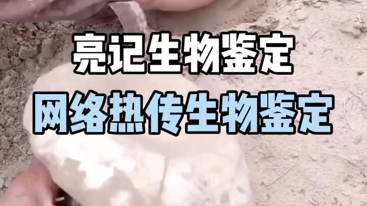 网络热传生物鉴定...2