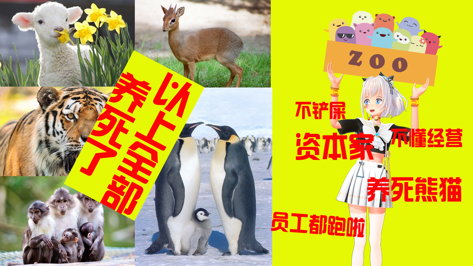 【录播】当妖精励志成为动物园园长(4)——然后她破产了