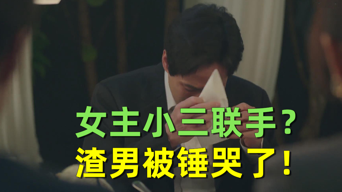 【刘哔】解说《夫妻的世界》大结局:女主小三联手?渣男净身出户!最后结局万万没想到!