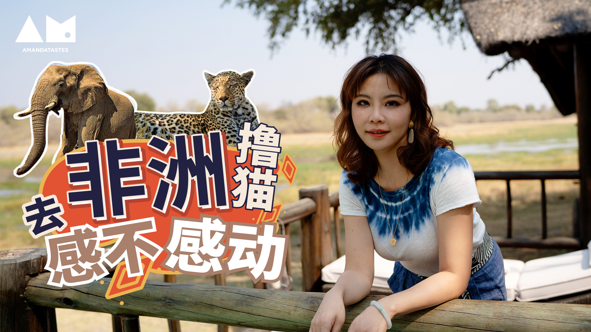【曼游记】去非洲超近距离撸大猫,大猫:“你感动吗?”