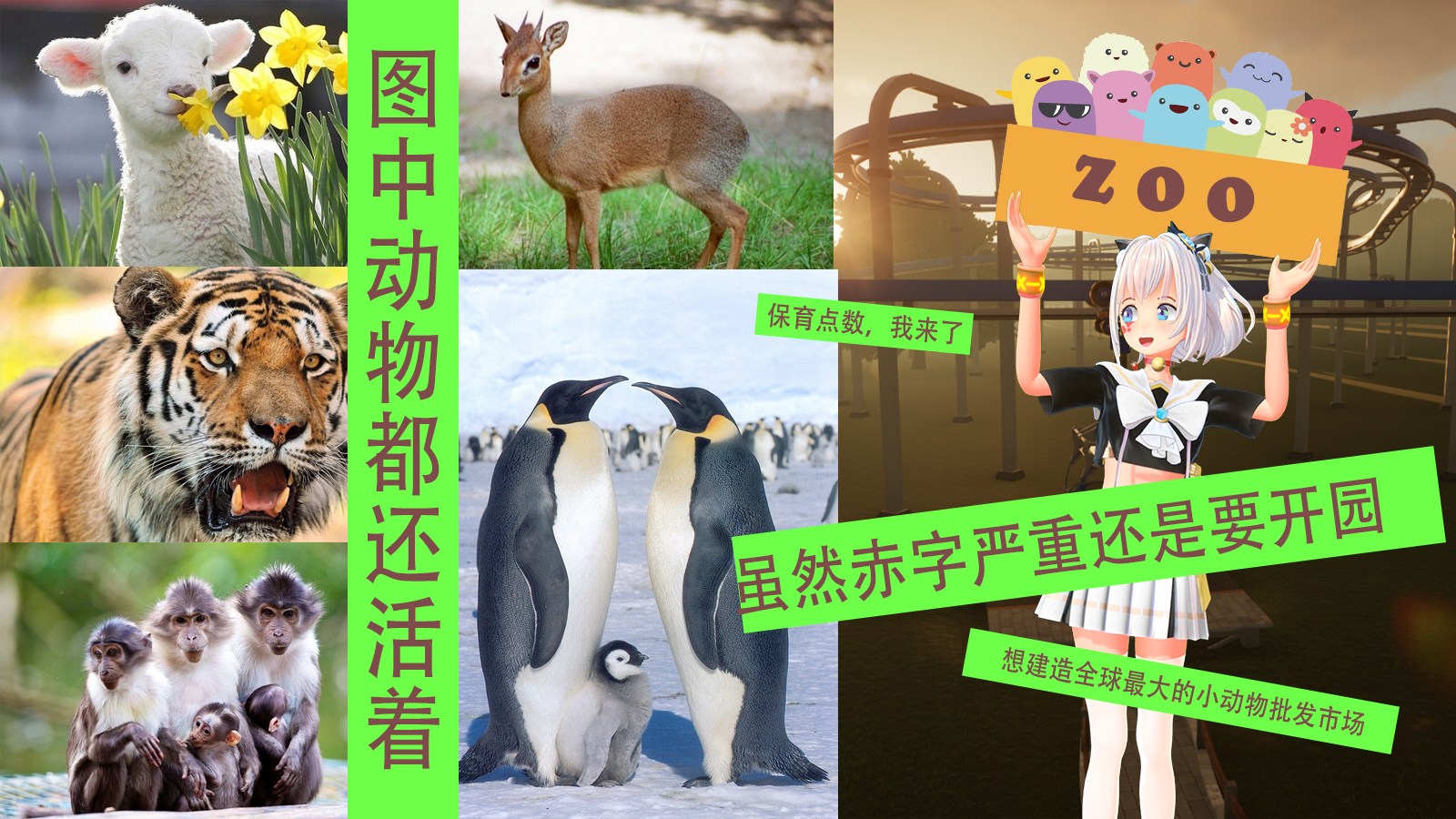 【录播】当妖精励志成为动物园园长(6)——荣耀下播!争取全世界动物都养完
