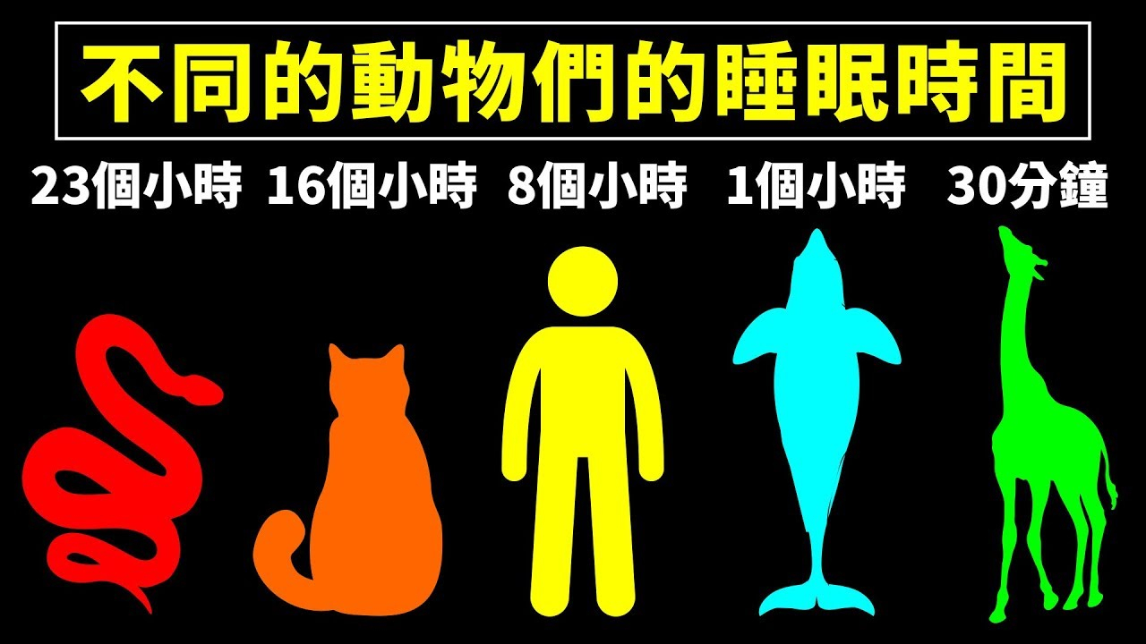 这些有着极端睡觉时间的动物们,你都了解吗?