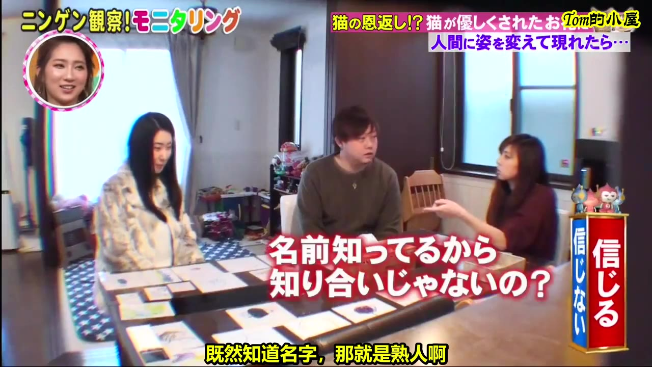 【人类观察/人间观察】20.02.27如果猫变成了美女找到家来了……