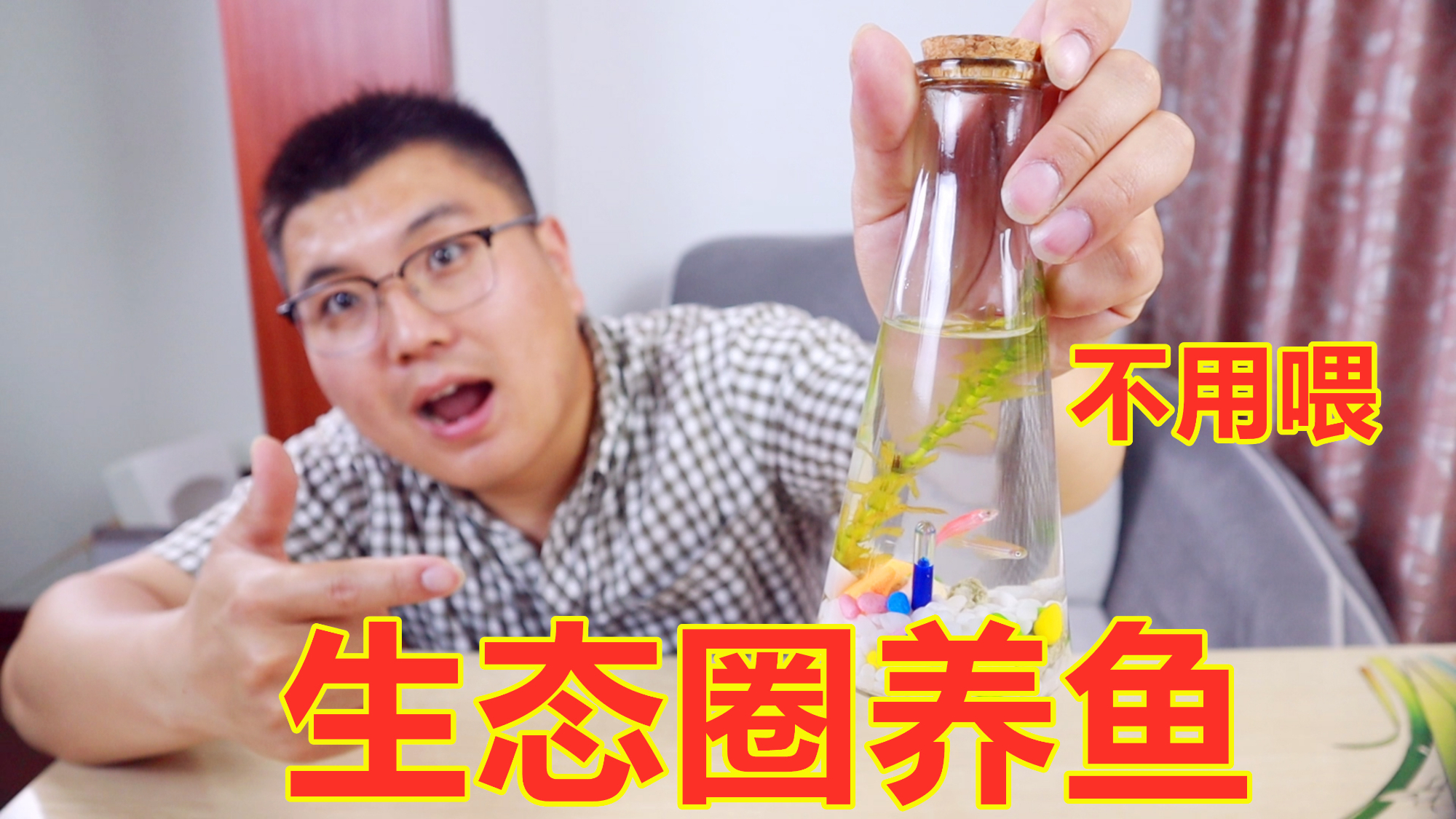 生态圈养鱼,不用喂食小鱼也能长大?老板说的是真的吗?