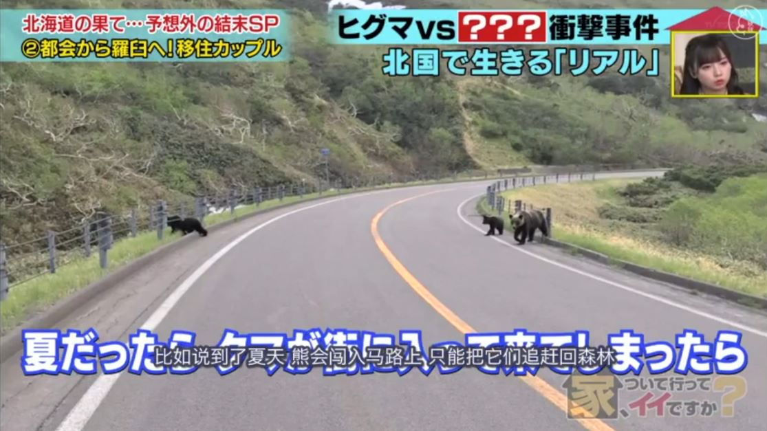 【跟拍到你家/可以去你家吗】20.03.25住在日本最后的“秘境”知床半岛的情侣