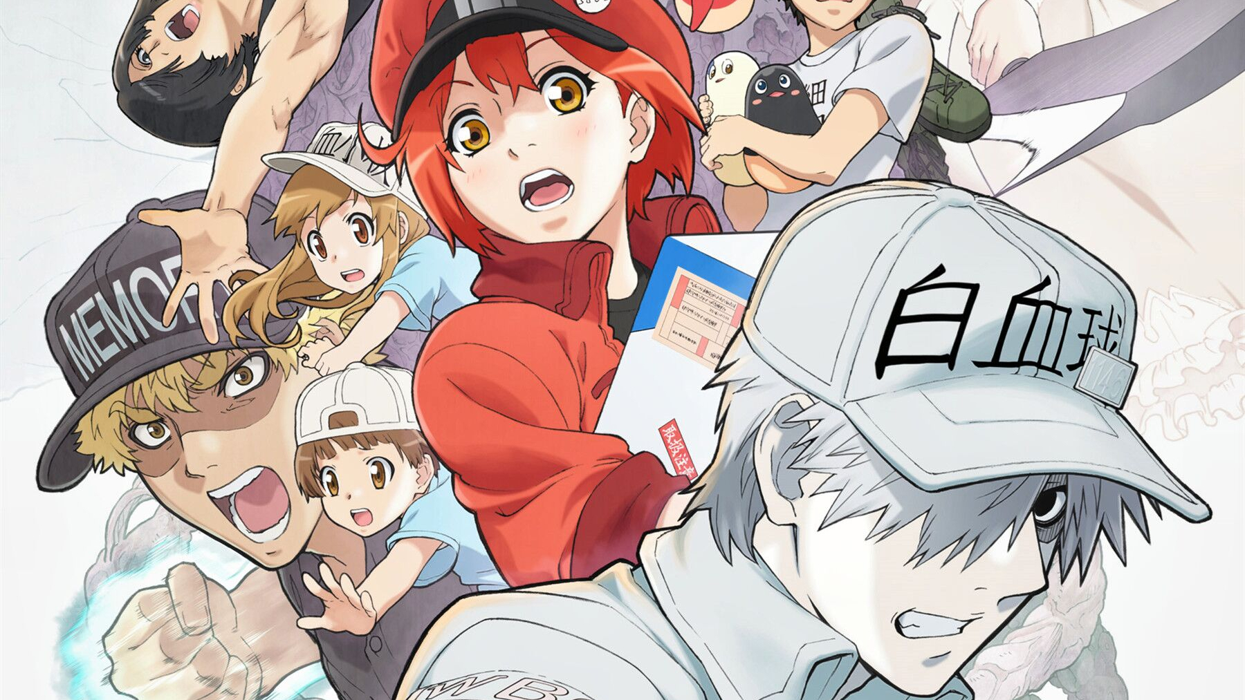 【剧场版】工作细胞 全新剧场版「强菌袭来!人体肠道大骚动!」台湾上映 特报PV【官方中字】