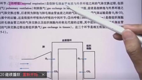 泌尿系统