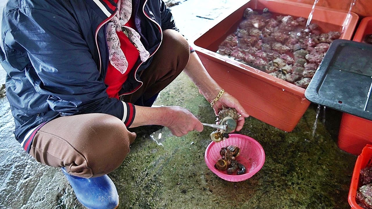 济州岛东福海盐海鲜市场海鲜市场鱼望菜!
