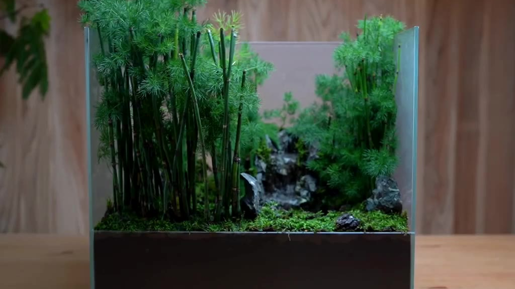 小小的生态缸,大大的水下世界