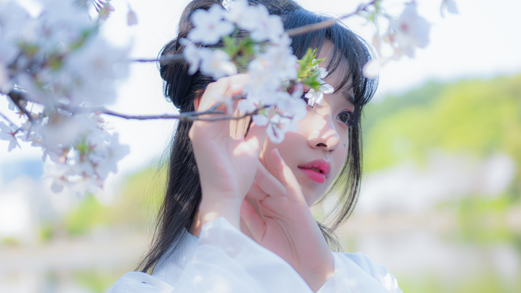 【夕颜】七朵组合❀青蛇 中国风还有人看吗