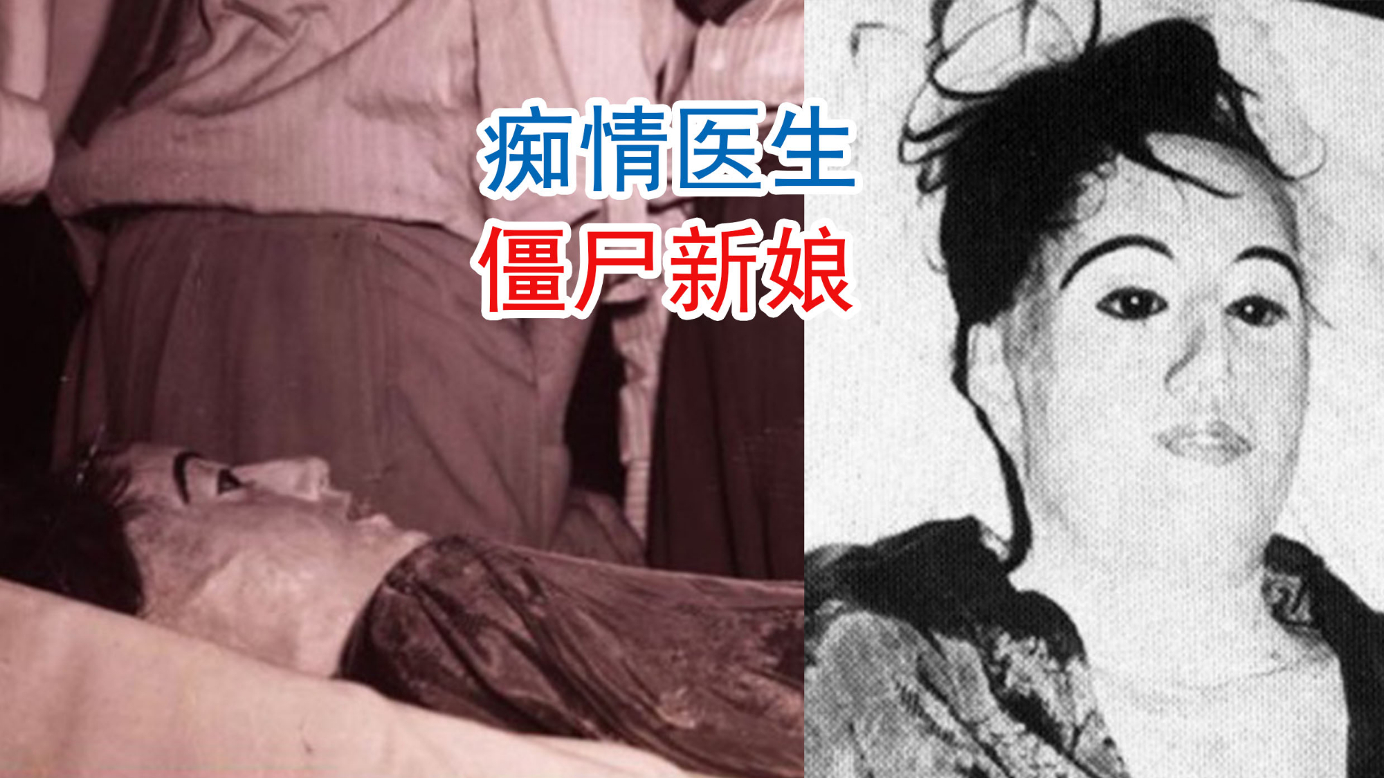 死了都要爱,痴情医生和他的僵尸新娘(AC)