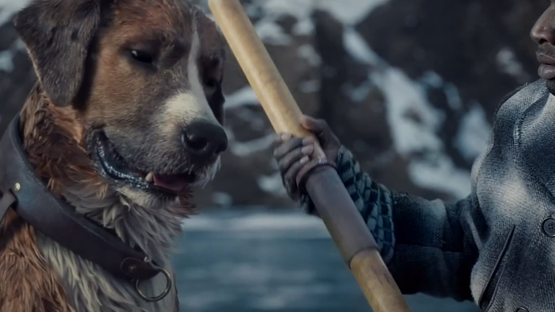 acfun【杰克伦敦】话题,快来参与