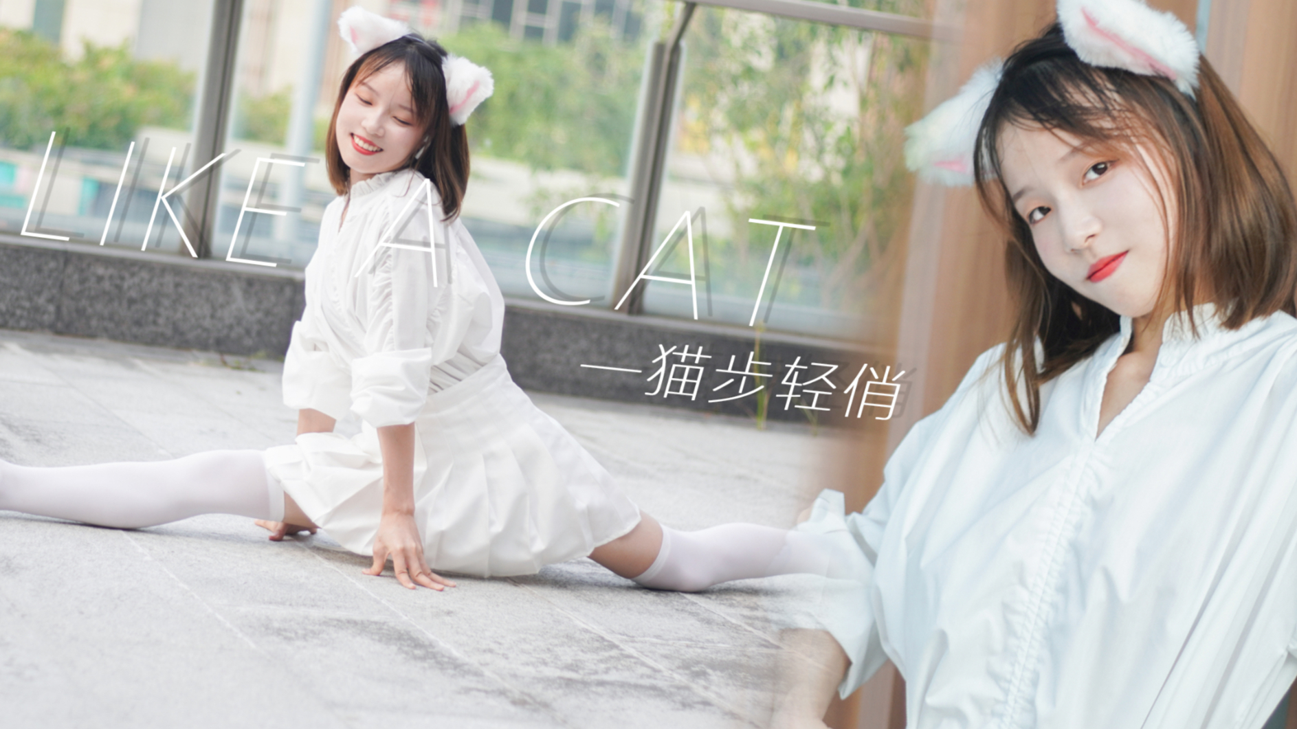 【佳衣】猫步轻俏➷LIKE A CAT—AOA 喵~