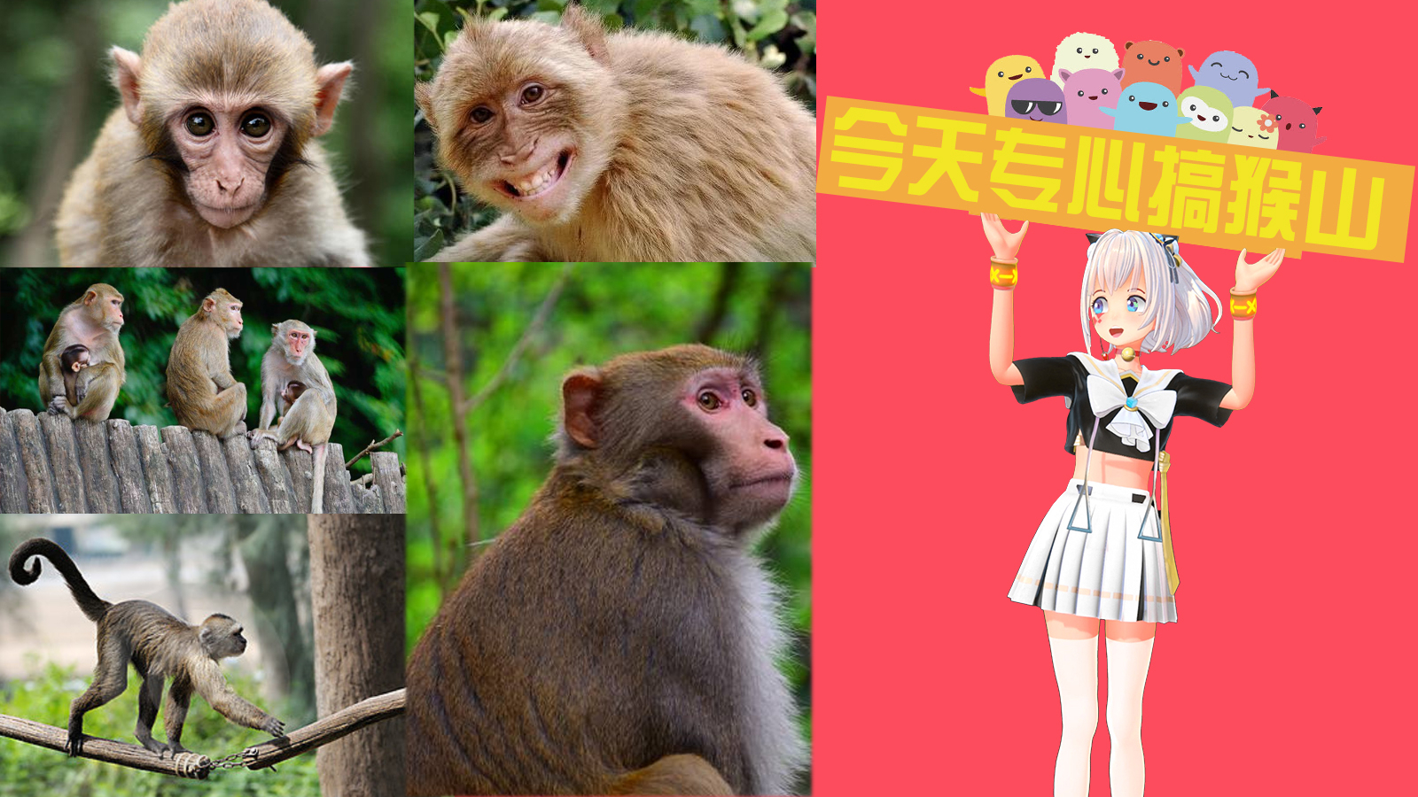 【录播】今天专心搞猴山!儿子你给我看好那些猴子啊!(是动物园里的猴子啊)