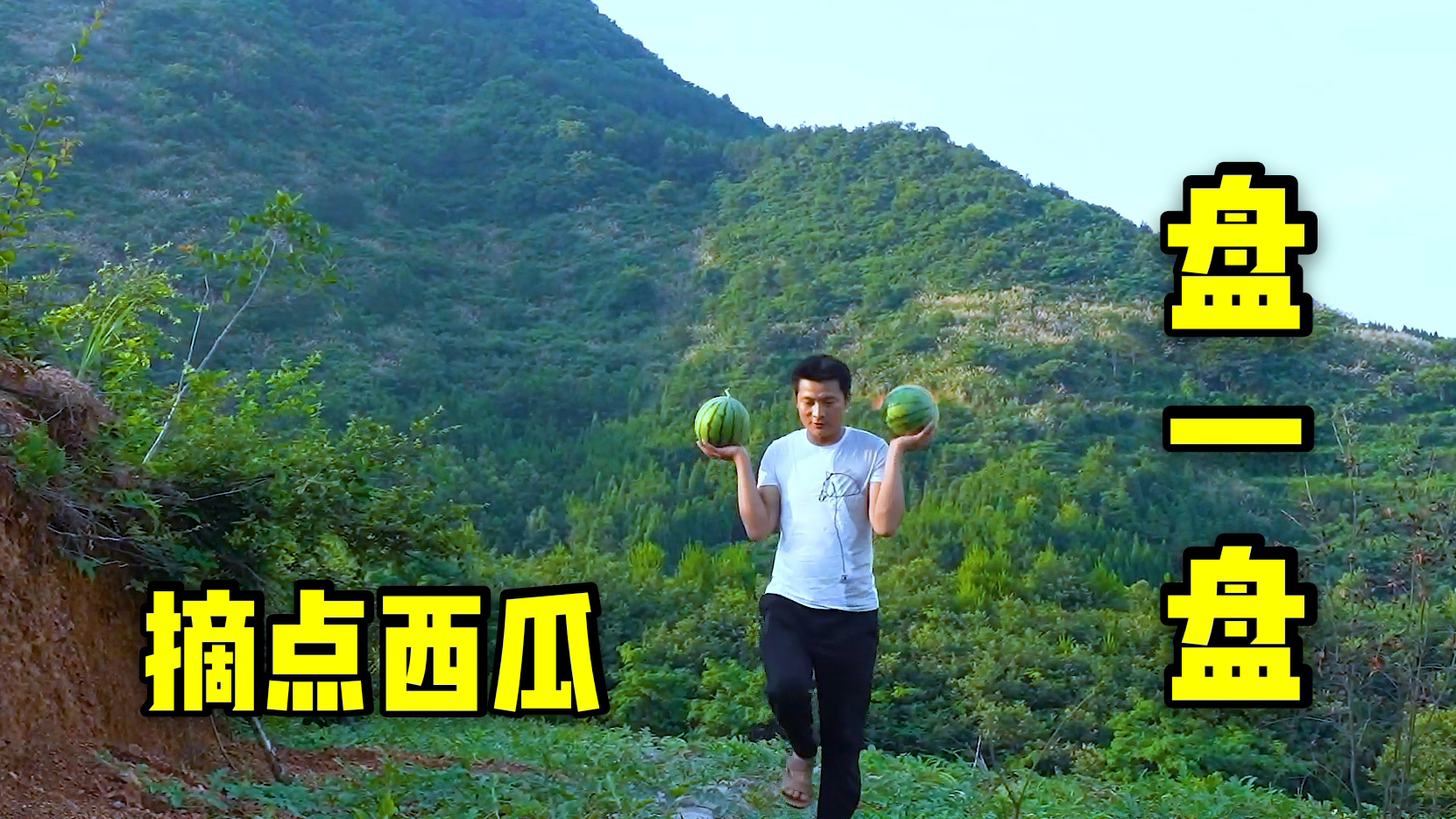 三毛:去侄儿刚开垦的地里摘点西瓜,顺便给它盘一盘!