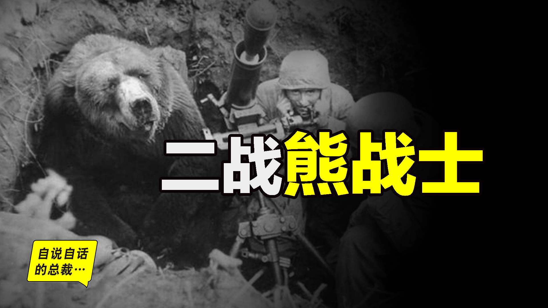 抽烟、喝酒、泡妞,这头熊在二战中还获得了军衔