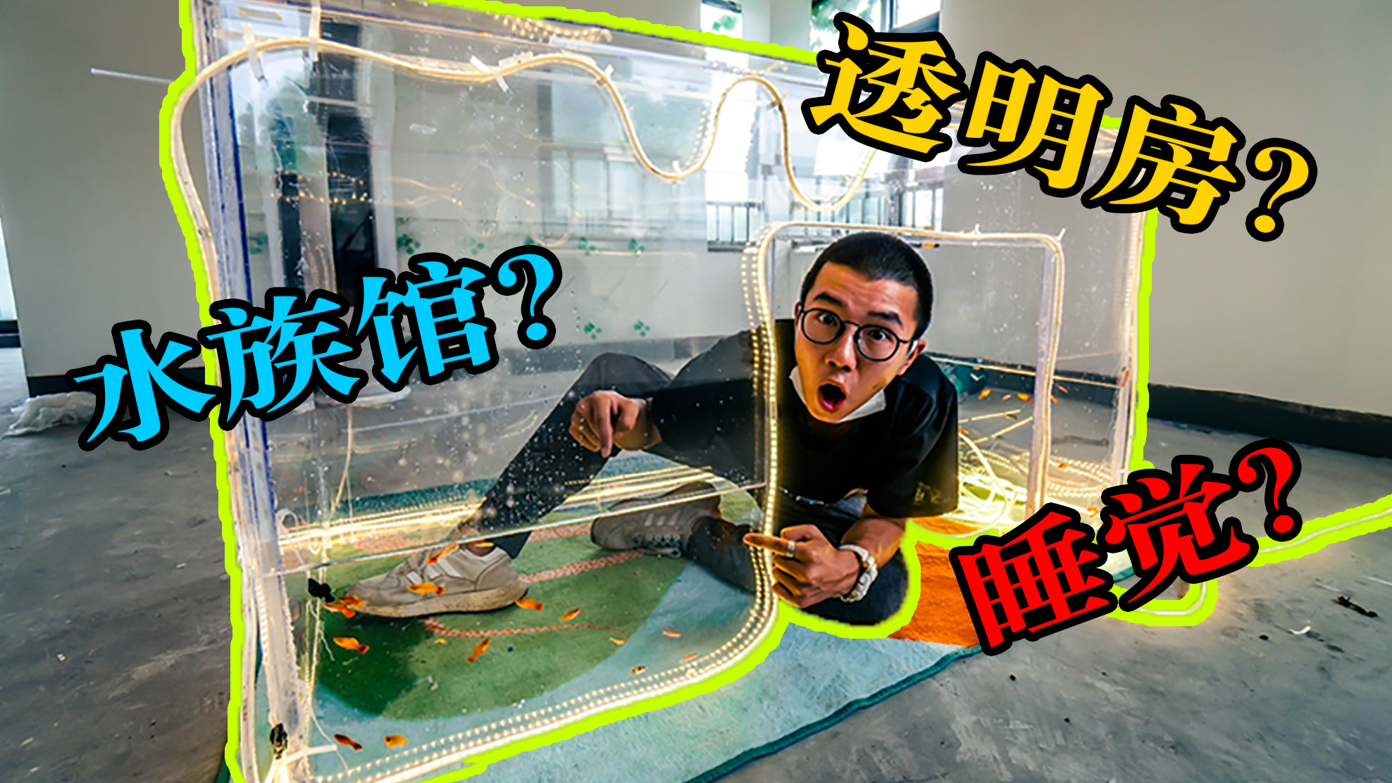 我造了个水族馆来睡觉,一睁眼就能看到鱼儿在眼前游来游去!