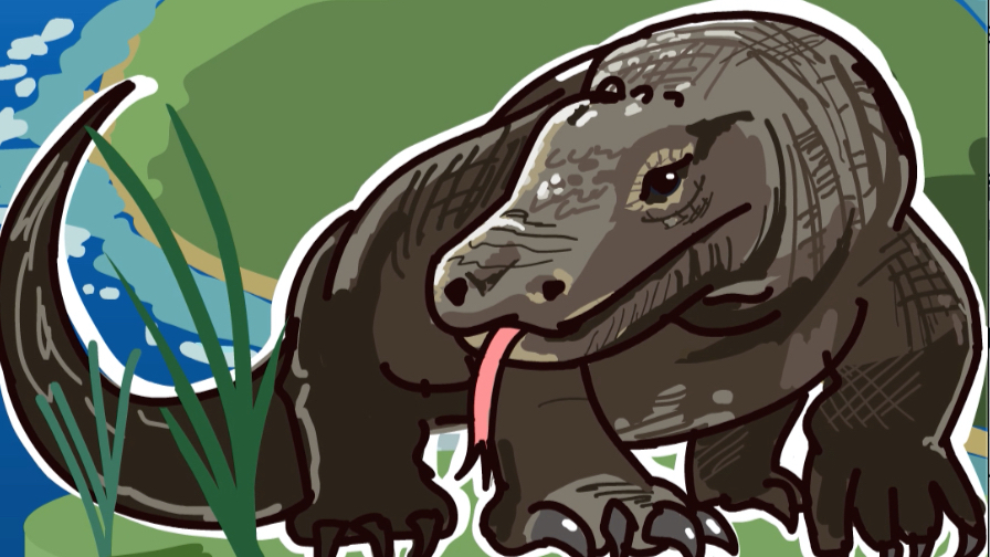 科莫多龙巨蜥简笔画图片