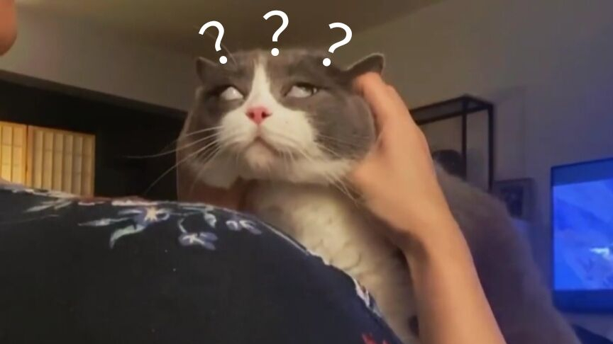 《 动 物 迷 惑 行 为 大 赏 Ⅸ 》