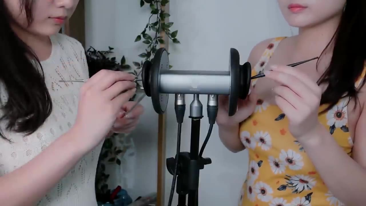 twin ear cleaning !! Intense Tingles