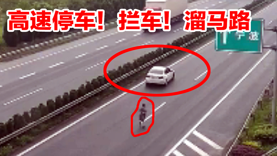 【事故警世钟】702期:美女高速停车!拦车!看路标牌,这驾照是捡的吗?