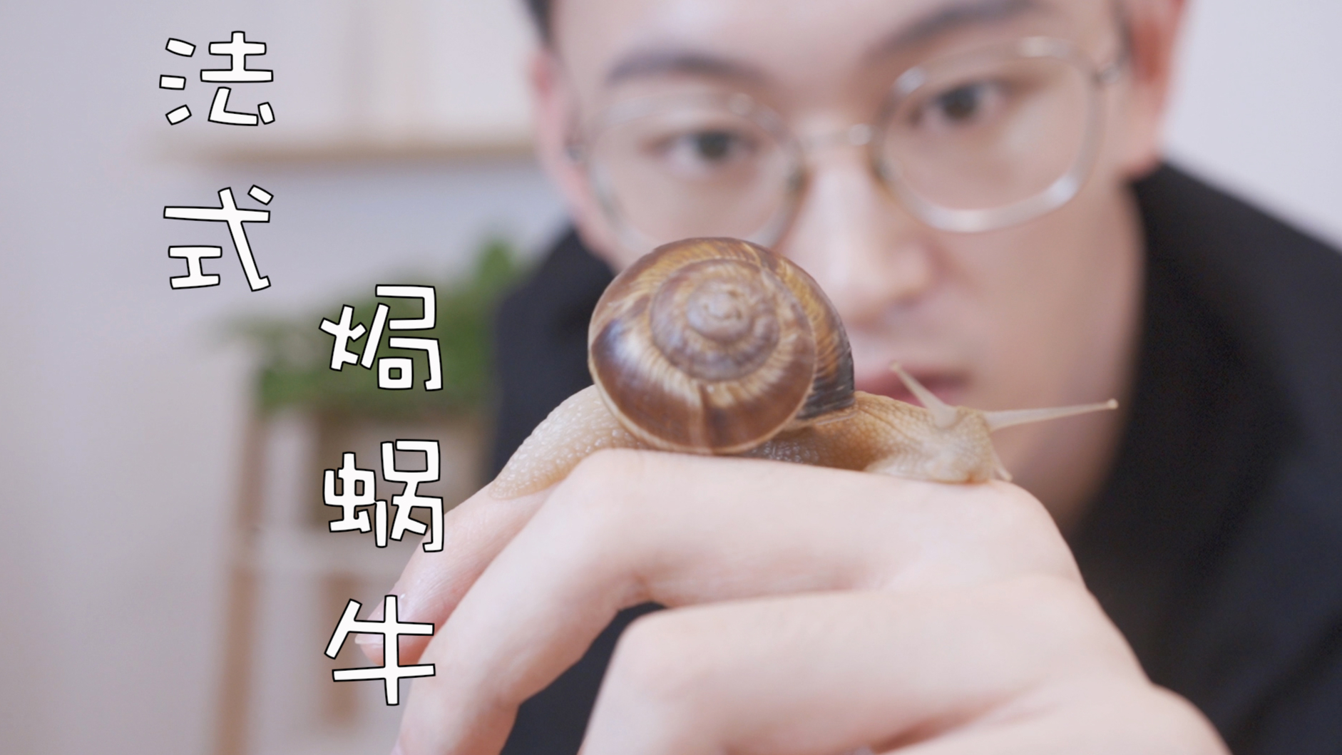 法式焗蜗牛—到底什么样的蜗牛才能吃?