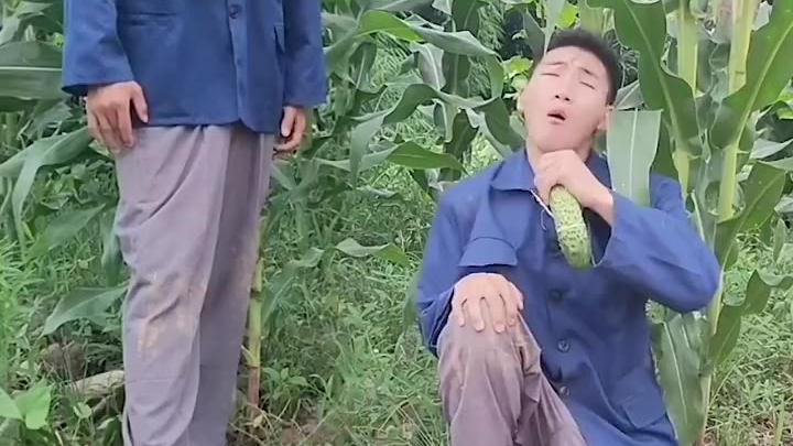 越听越上头