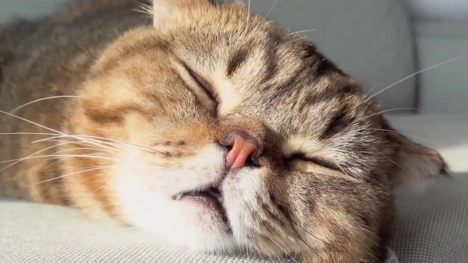这才是猛男应该看的