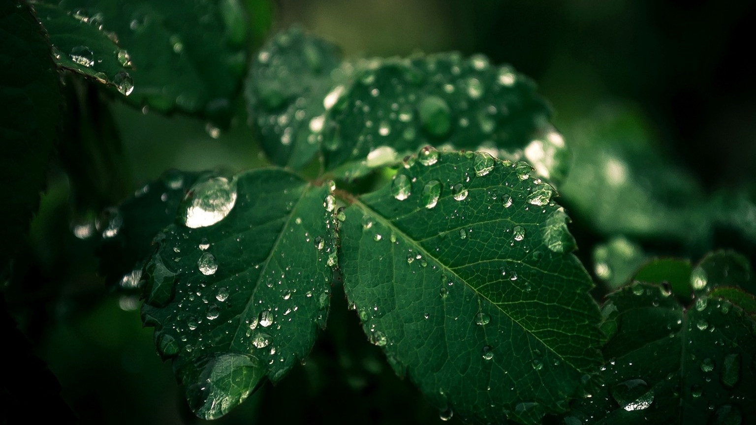 李明霖搞笑翻唱