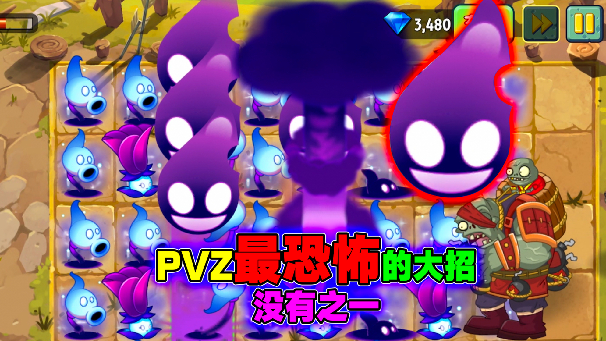 植物大战僵尸95版14迷雾泳池前三关仙人掌攻击变成穿透式单发