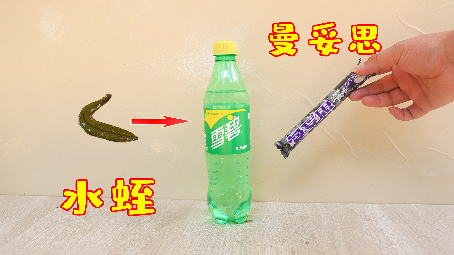 将“水蛭、曼妥思”放入雪碧里面,会发生什么?