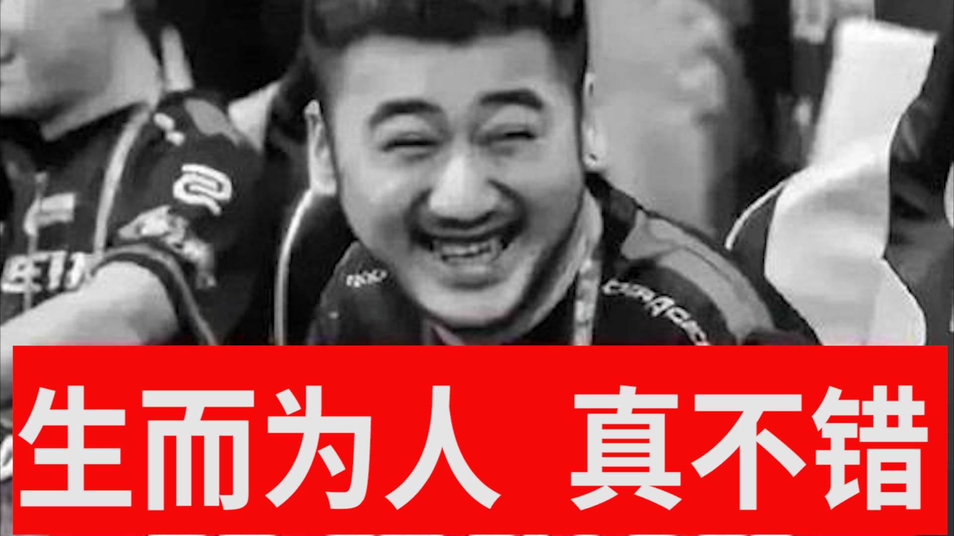 生而为人 真不错【网抑云】