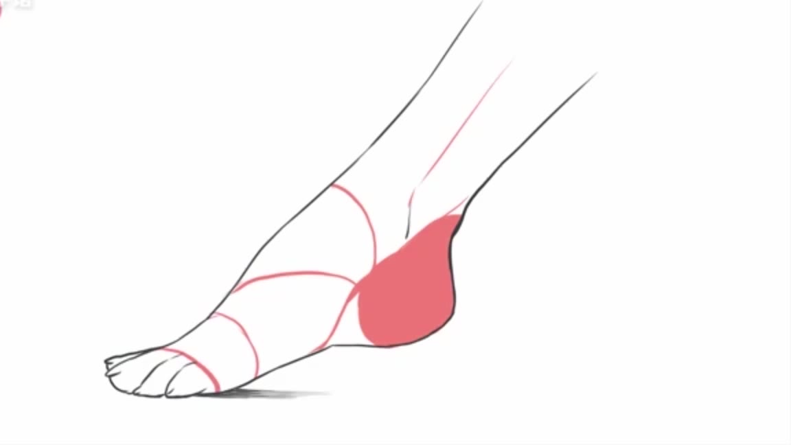 零基础也能学会的脚腕画法