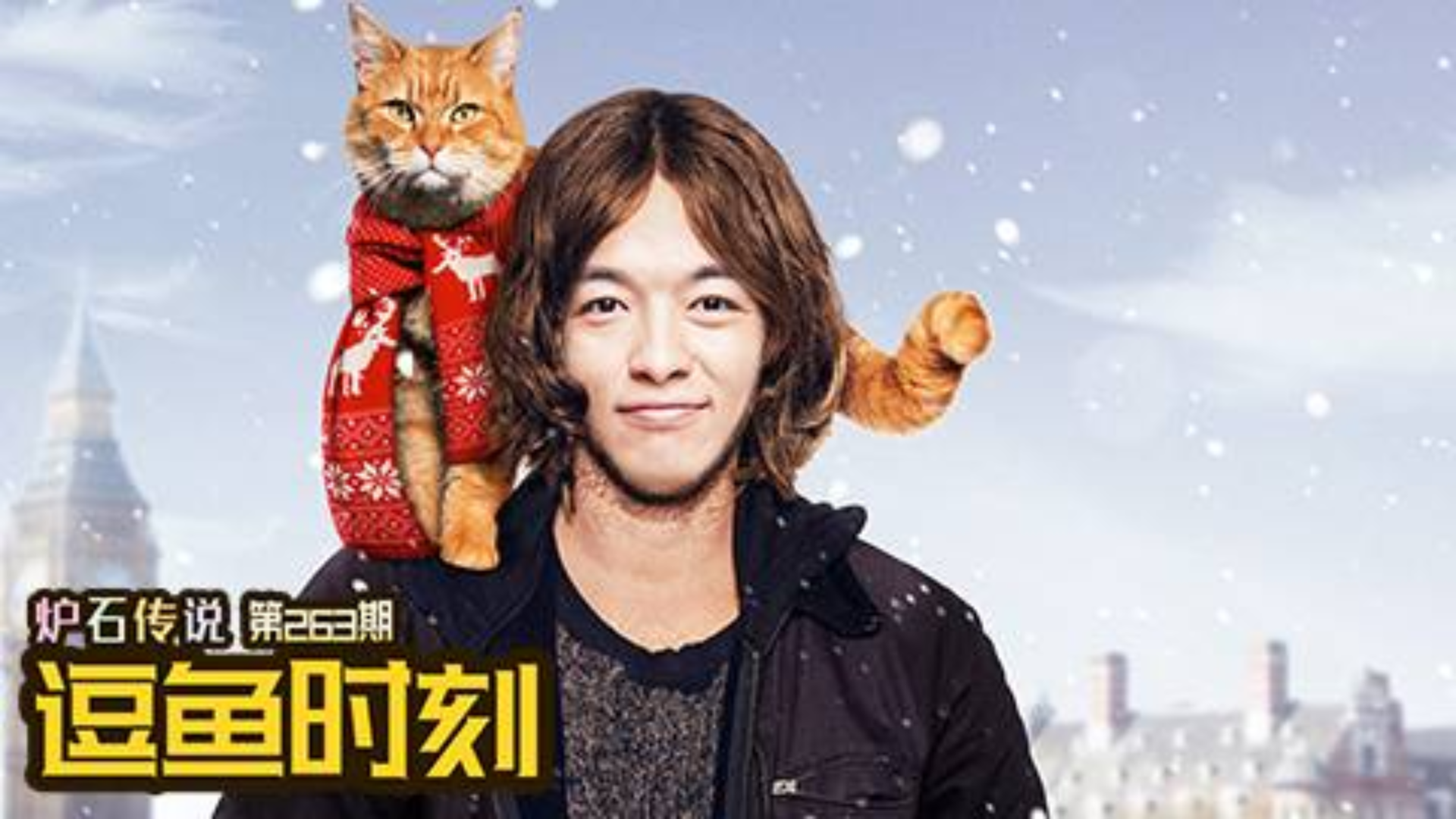 【逗鱼时刻】第263期 流浪猫生存指南