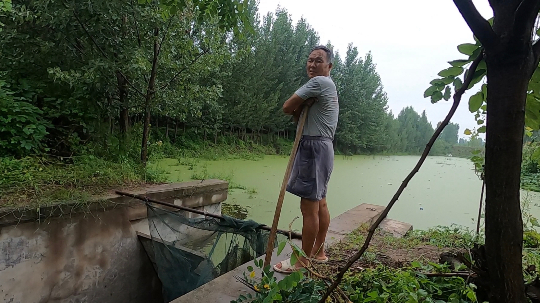 山东农村暴雨过后,大爷水库边下网拦鱼,看到收获小伙笑了