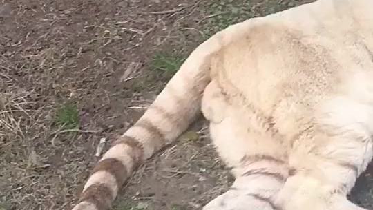 李……李荣浩?