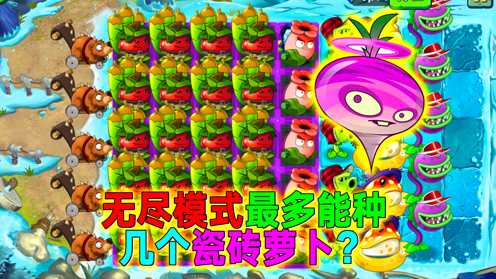 pvz26根黃瓜轟炸10階殭屍一根毛都沒掉