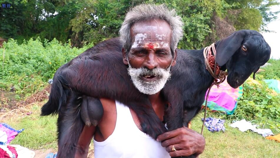 印度六指神厨做了480个蛋吃