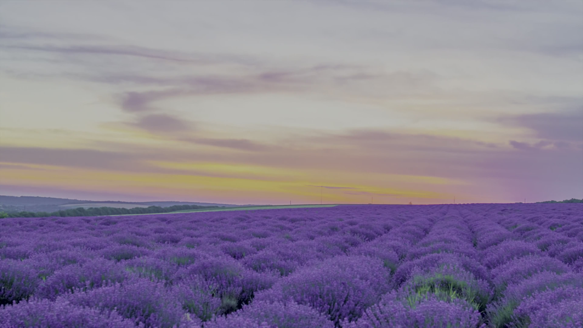 【放松】【自然的美景】【8K HDR 60FPS】