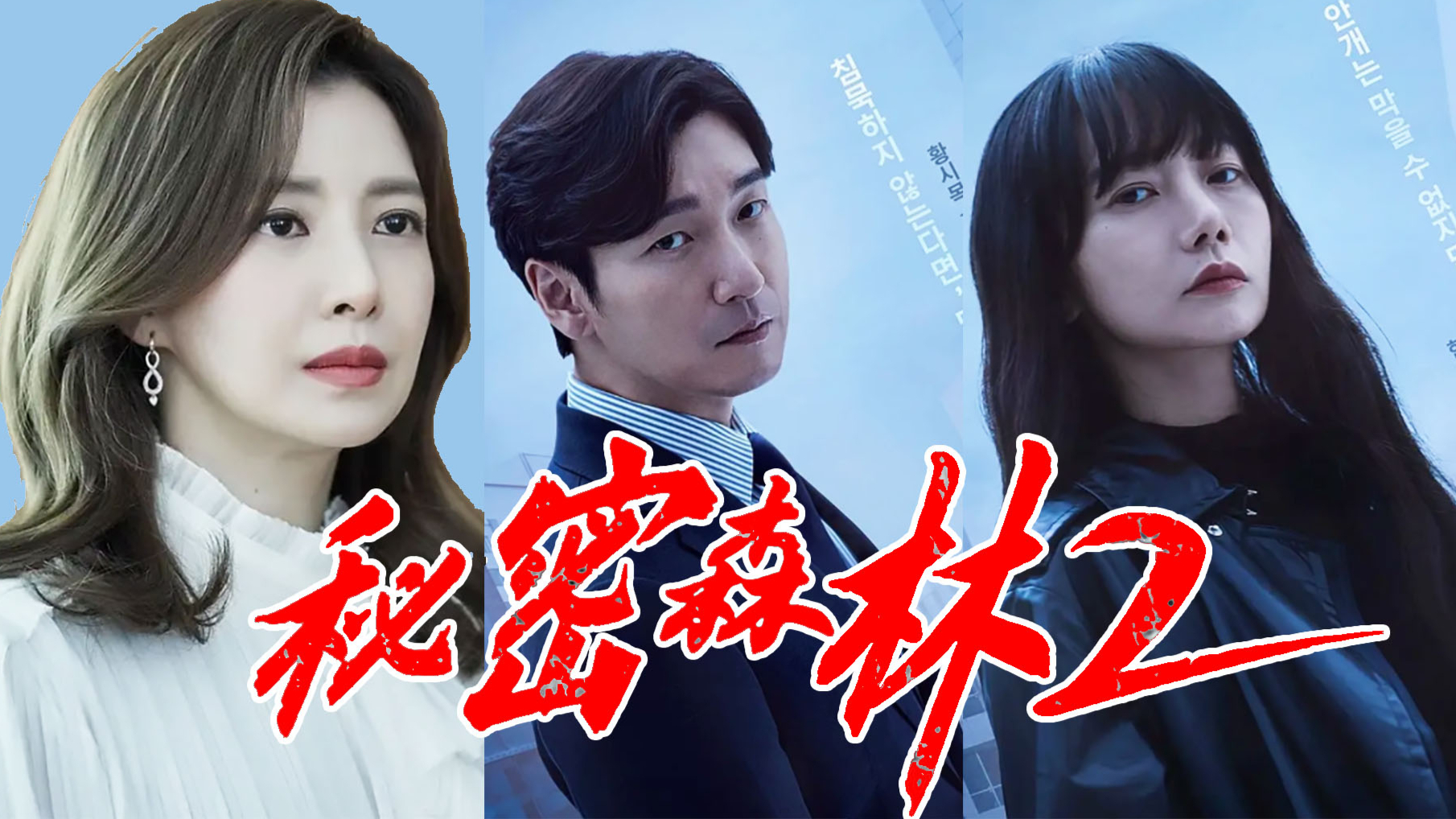 悬疑神剧《秘密森林2》