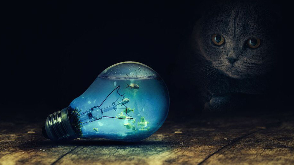 【ps合成教程】ps特效合成ps图片合成ps创意无限的合成教程——蓝猫