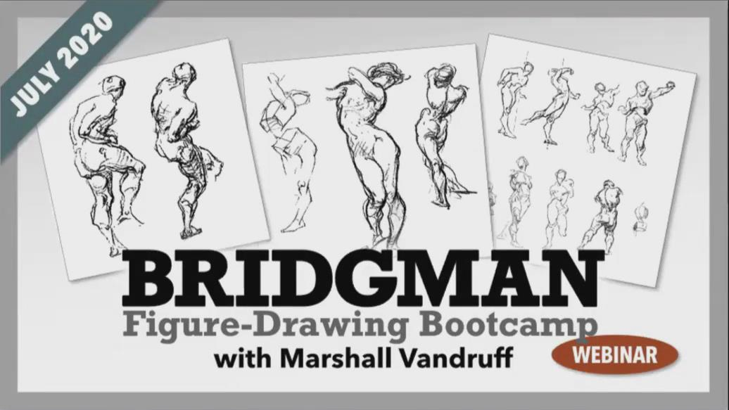 【绘画手绘】Bridgman人体解剖素描大师级解析教程(中英双字)