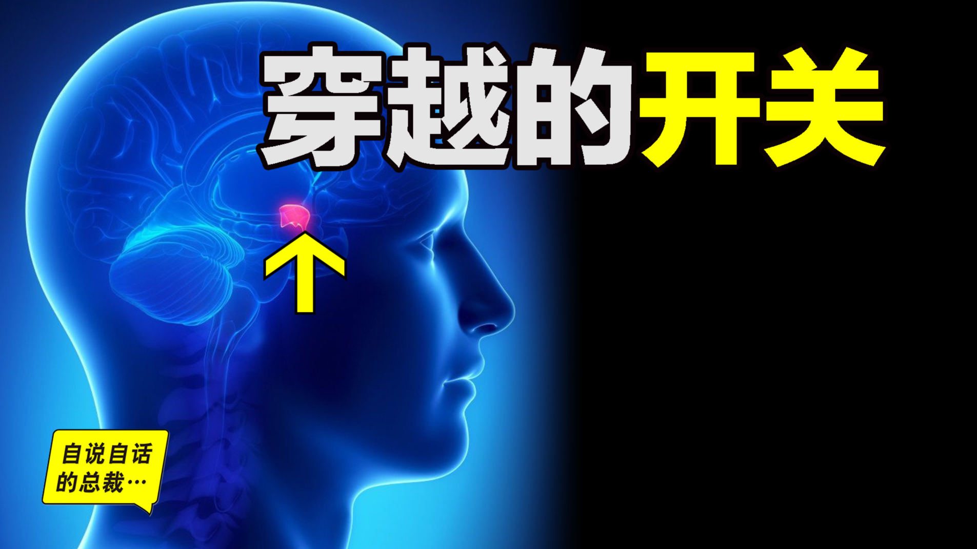 穿越到未来的开关,就在你到大脑中,其中还隐藏着世界的真相⋯⋯