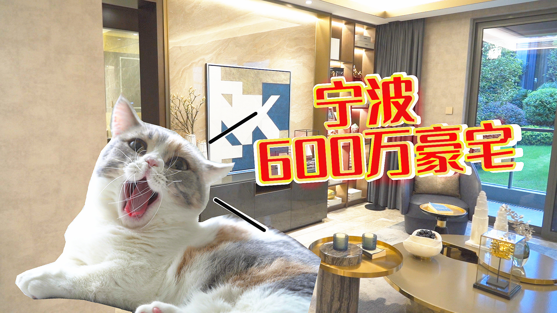 为了养猫买下600万豪宅,带2000㎡会所房子长啥样?