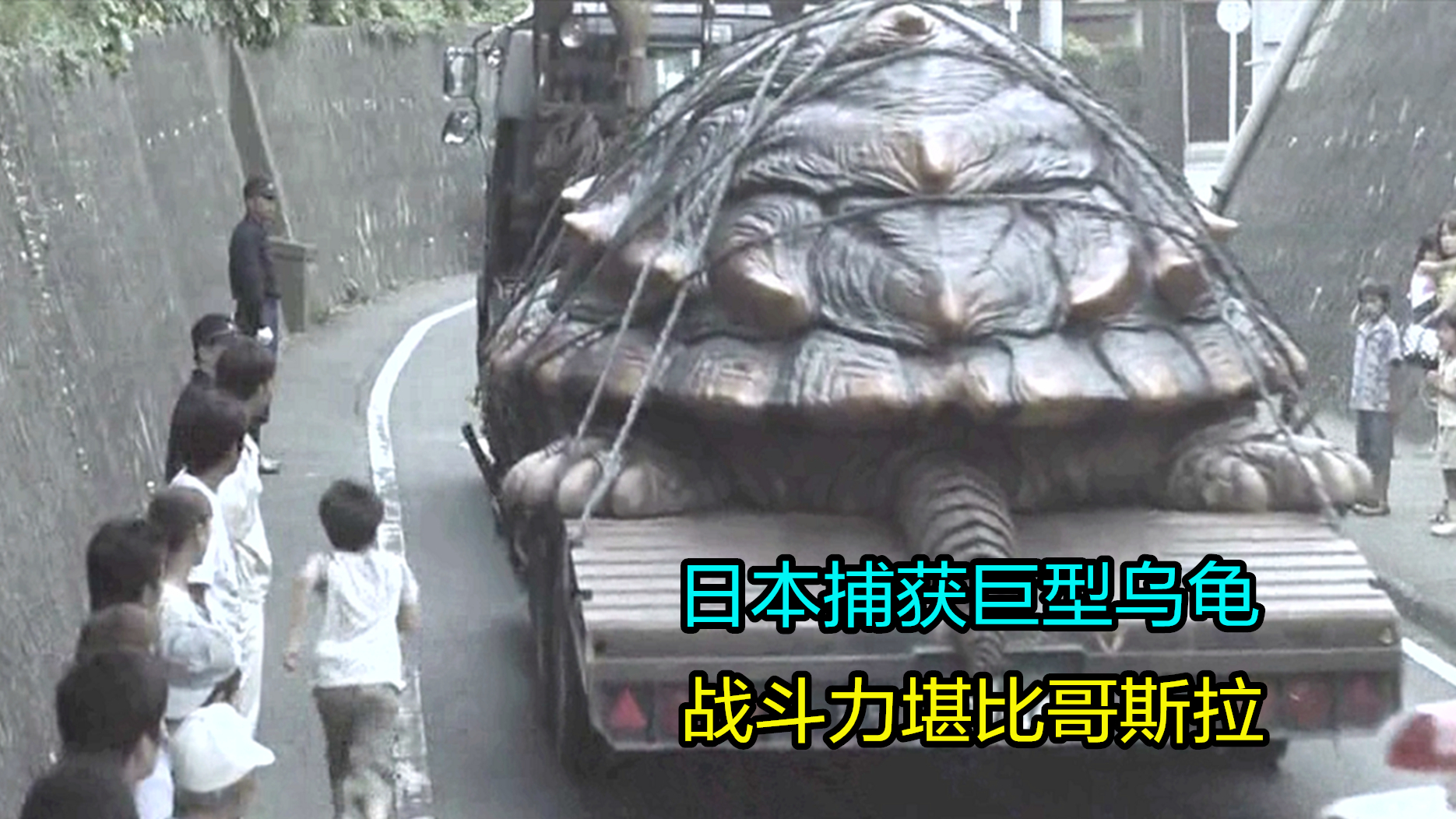 科幻片:日本捕获一只巨型大乌龟,不但能飞,战斗力堪比哥斯拉!